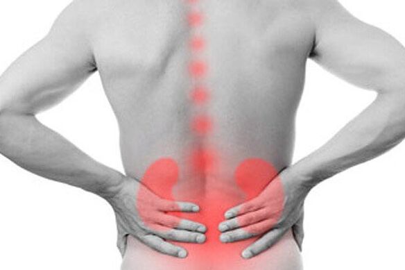 Kidney diseases can cause the appearance of low back pain