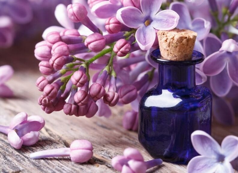 Lilac tincture